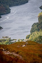 Ben Nevis Ultra 2018