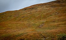 Mamores VK 2018